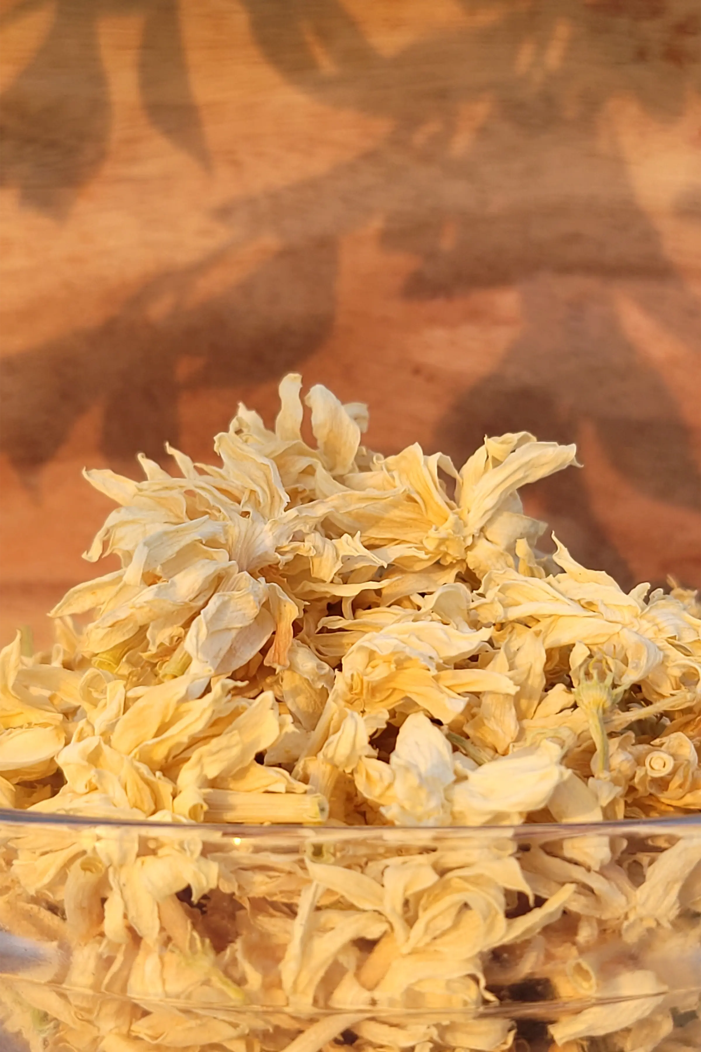Dried Jasmine