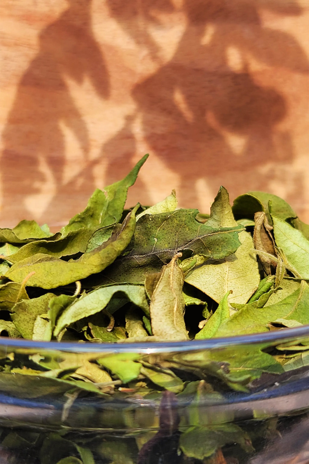 Dried curry leaves (Karipatta)