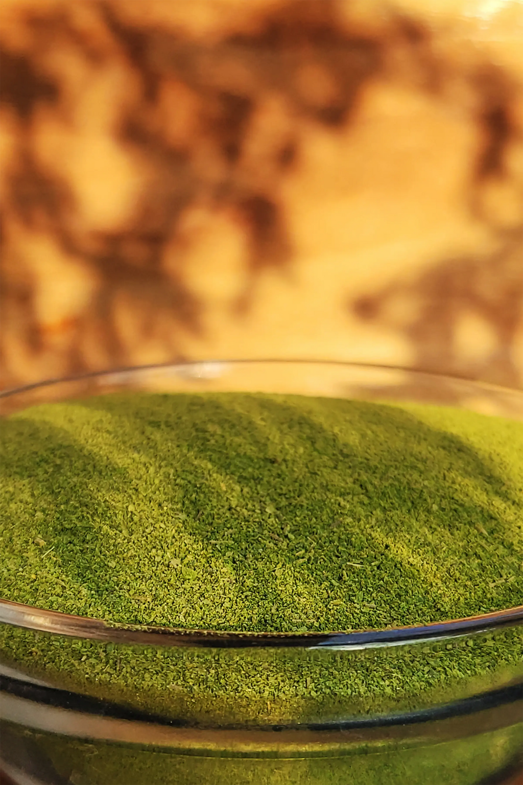 Moringa Powder