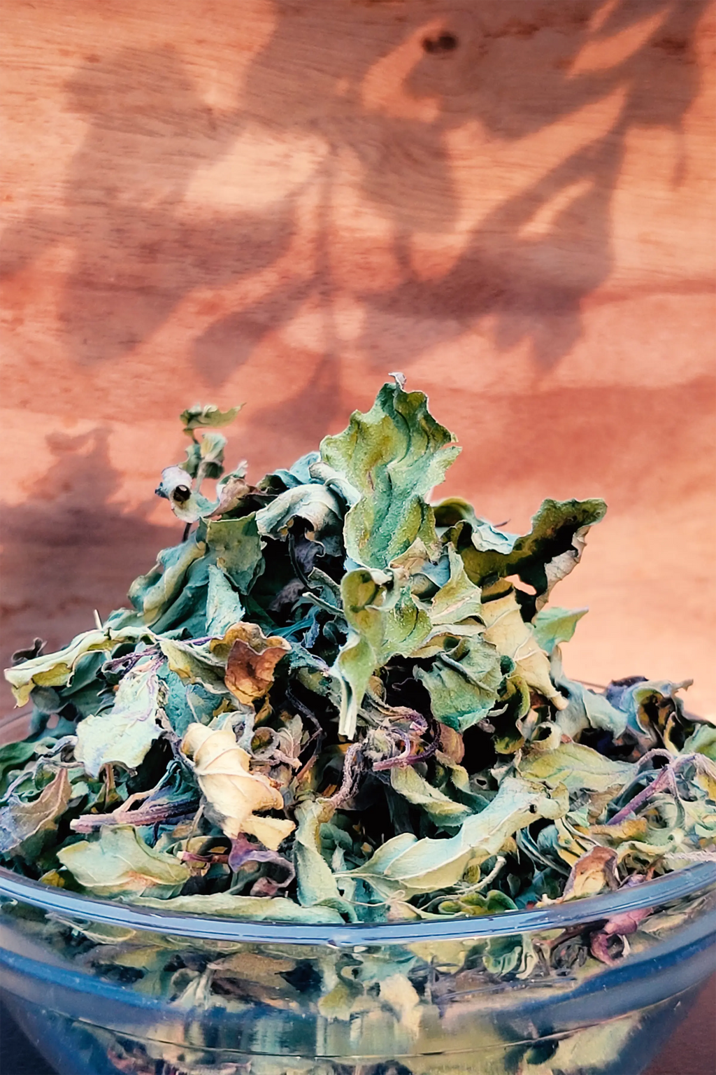 Spearmint Leaves