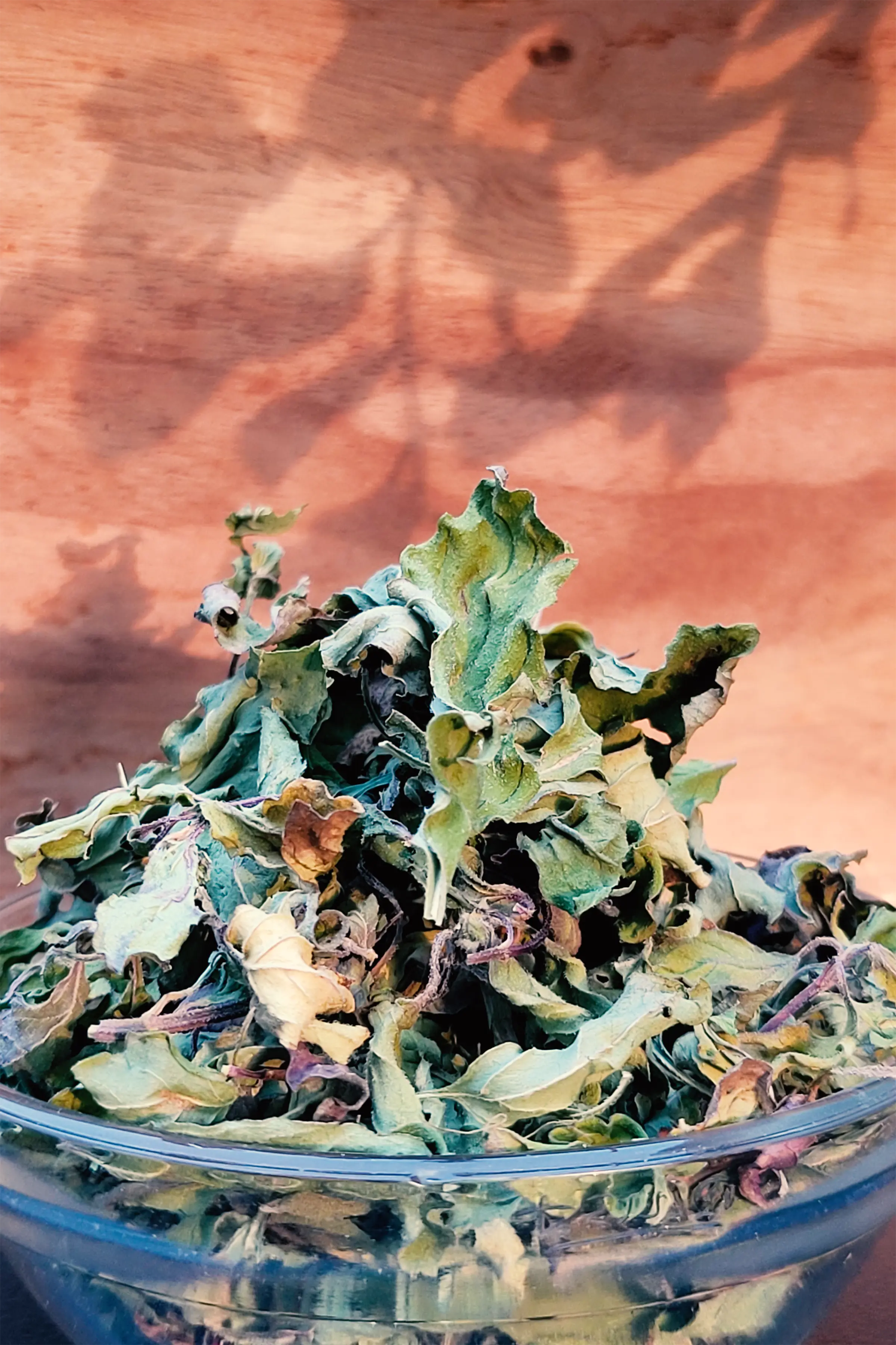 Spearmint Leaves